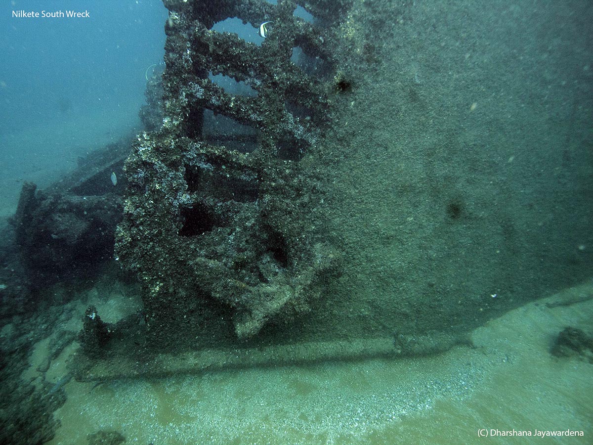 Nilkete Southwest Wreck